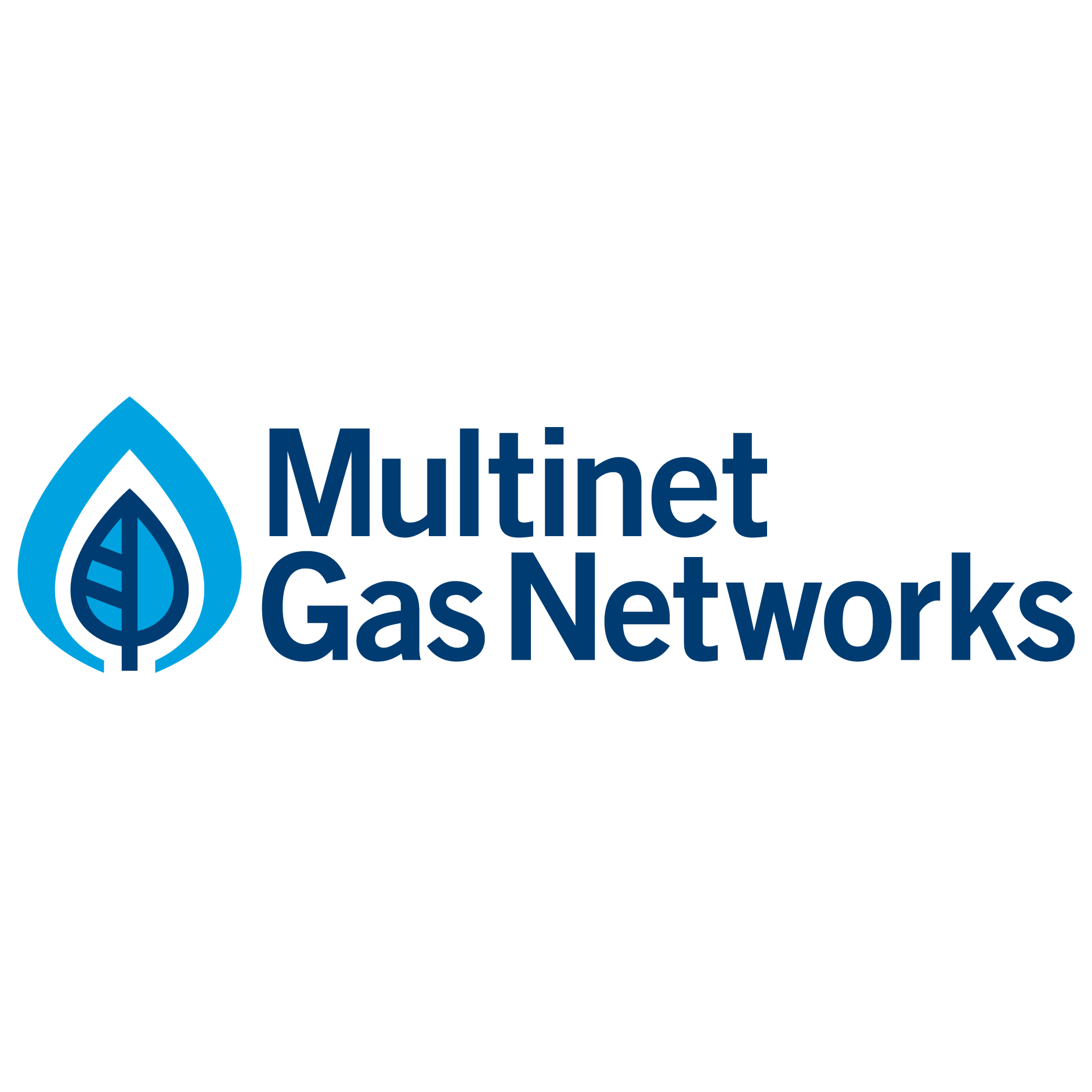 Multinet Gas Network
